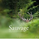 Sauvage en Normandie